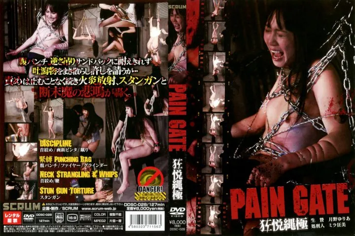DDSC-028